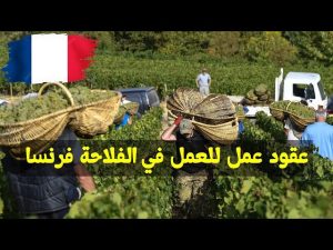 فرنسا تطلب 80 ألف عامل للفلاحة